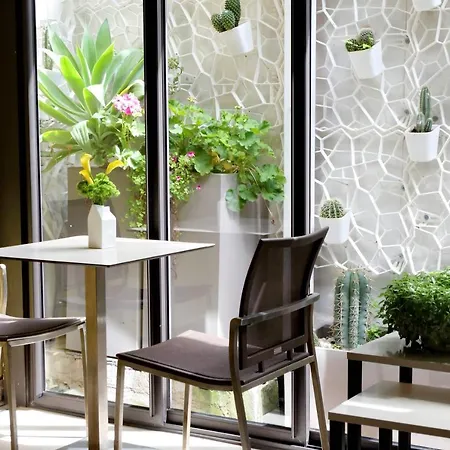 Hotel Camelia Roma