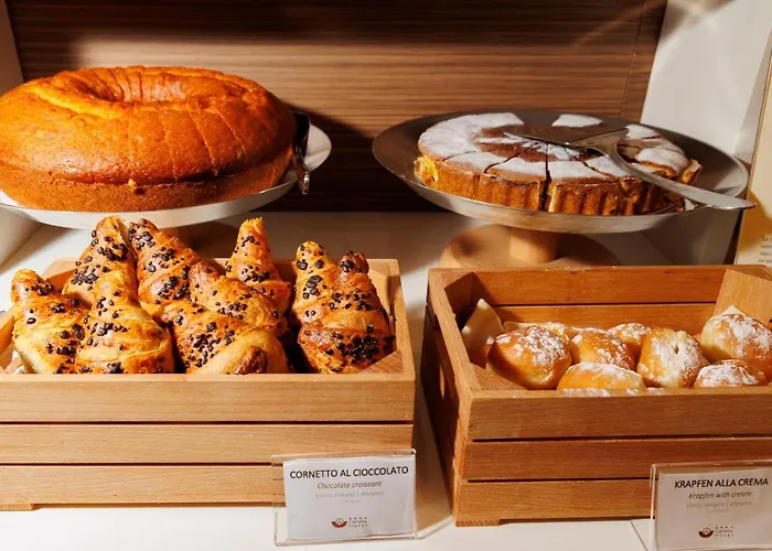 卡梅利亚酒店 3*