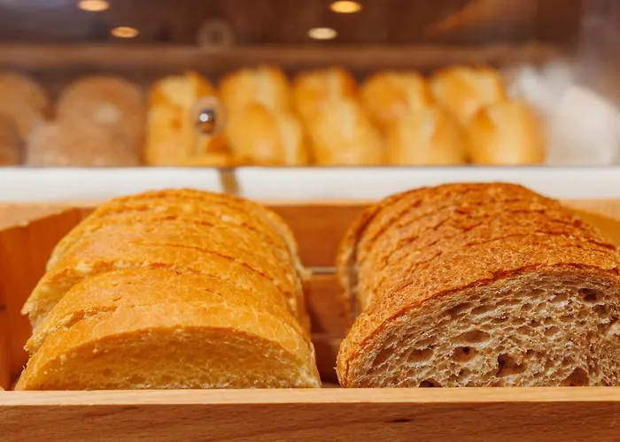 Ξενοδοχείο Camelia