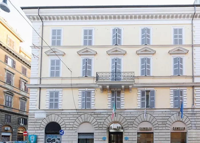 卡梅利亚酒店 3*