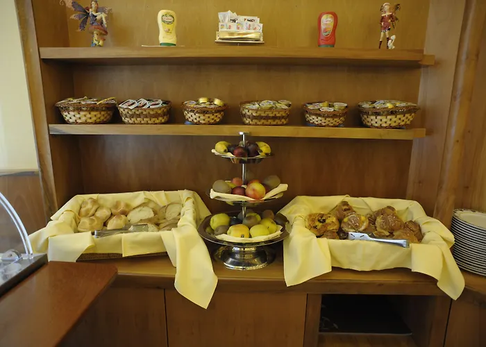 卡梅利亚酒店 酒店 3*