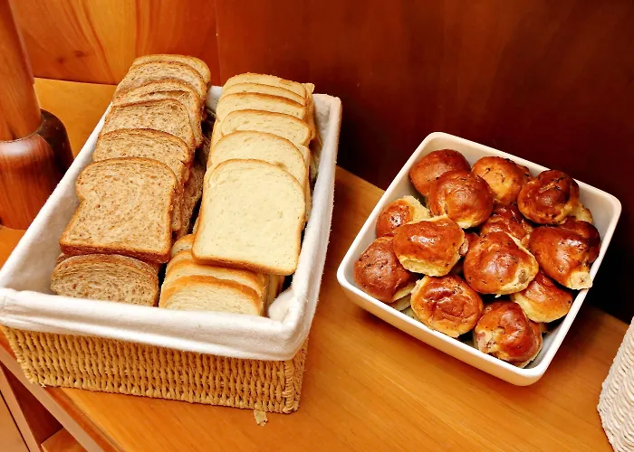 卡梅利亚酒店 酒店