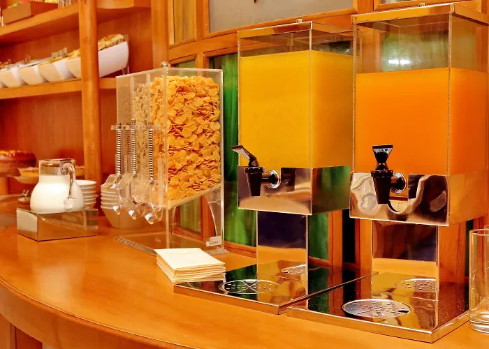 卡梅利亚酒店 酒店