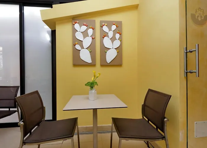 卡梅利亚酒店 酒店 3*